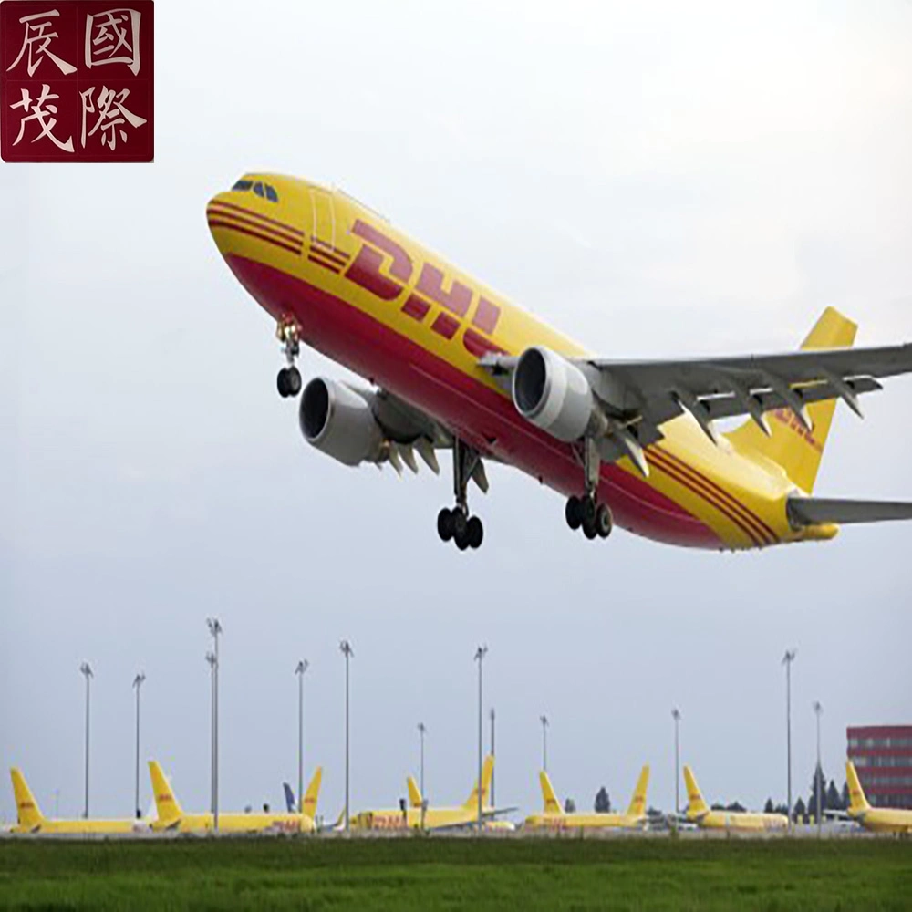 DHL/TNT/UPS/FedEx/Emst Shenzhen International Freight Forwarder Ali Courier Express in Niedrigster Preis und schnelle Lieferung nach Saudi-Arabien, Jemen, Oman, Iran, Irak