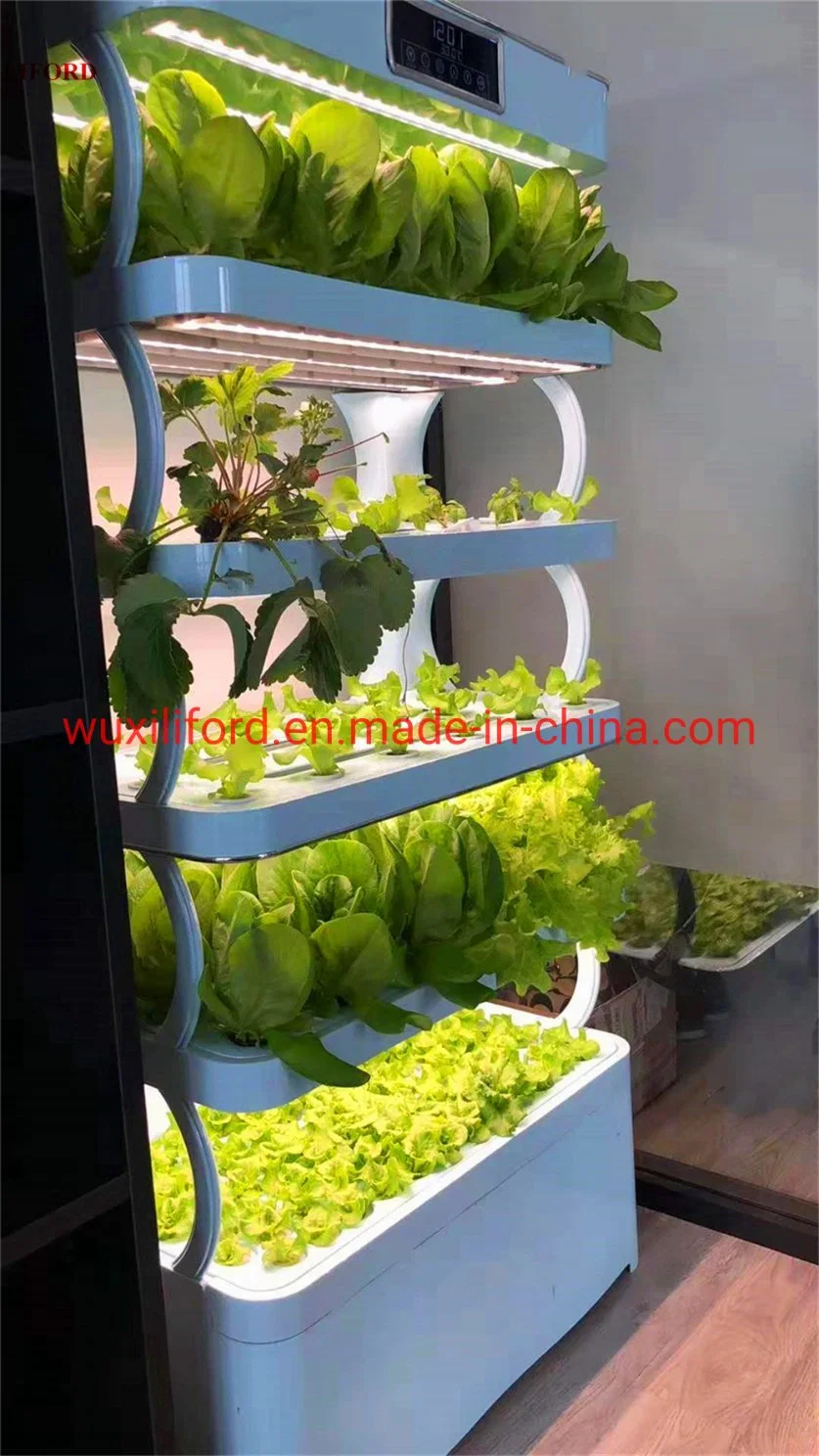 Automated Hydroponics System Smart Nft Hydroponic Growing System with Dimmable LED Grow Light