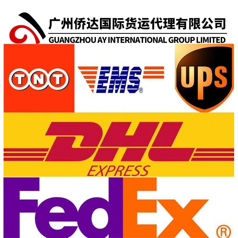 Professional DHL/FedEx/UPS/TNT Shipping Agent From China to Worldwide