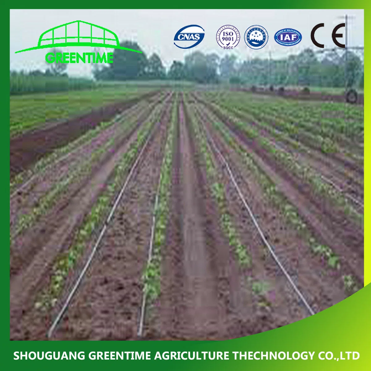 Factory Price Eco Friendly Drip Irrigation Pipes and Irrigation Sprikler System for Horticultural Greenhouse