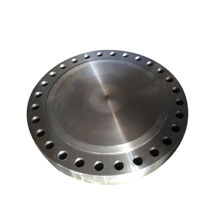 1/3customized Precision Stainless Steel 304 316 Forging Centrifugal Pump Flange Flexible Joint Flange S