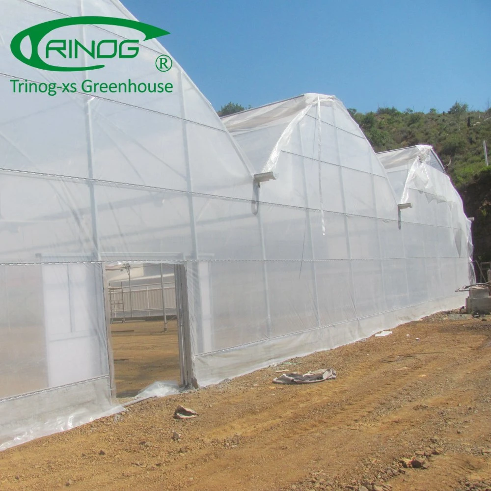 Agricultural plastic greenhouse film material cover for sale