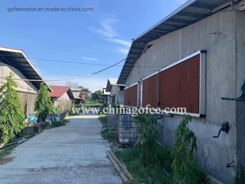 Livestock Farm Greenhouse Evaporative Cooling Pad