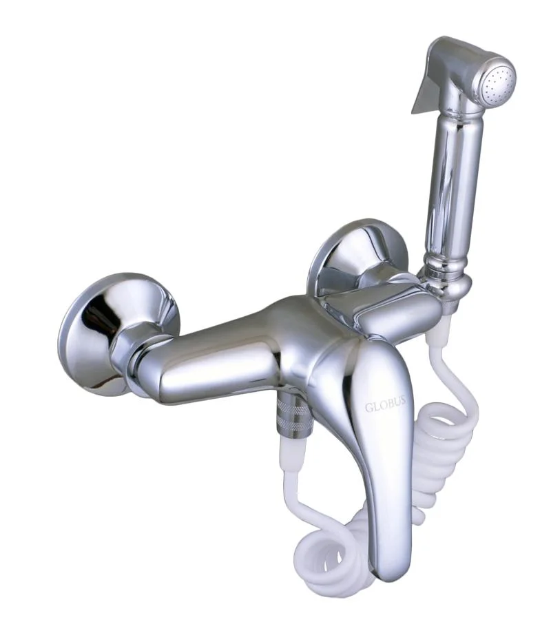 Brass Chrome Bidet faucet with hand spray (H11-206N)