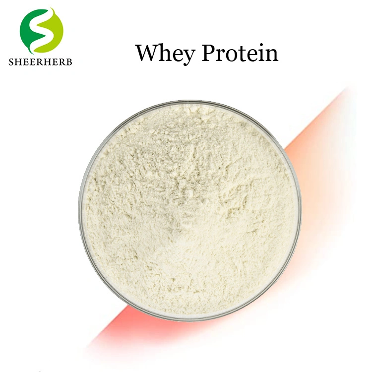 Factory Manufacture Direct Supply Best Whey Protein Isolate Powder CAS 84082-51-9