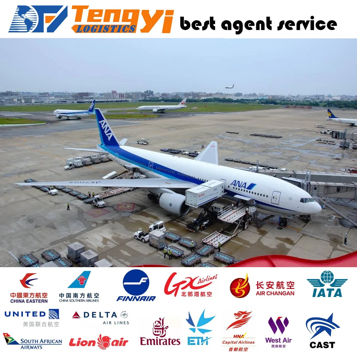 Reliable and Fast Air Freight Shipping Agent Cost From China to Singapore Uruguay