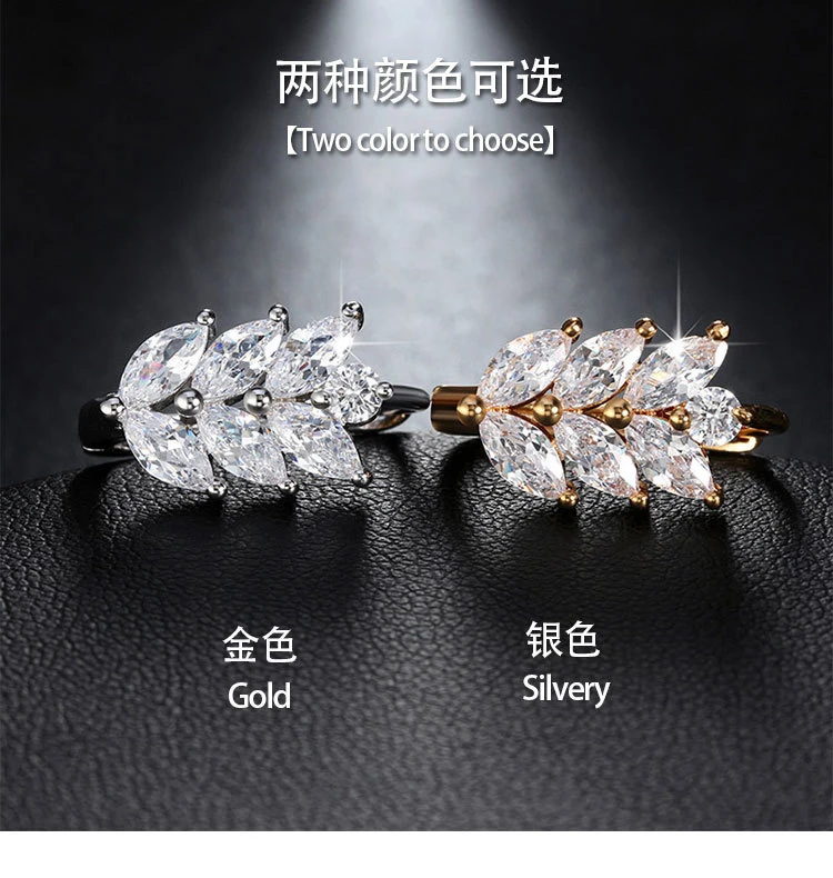 Fashion Jewelry Crystal Earring AAA Cubic Zircon Earrings Copper Gold-Plated Gift Cp1001