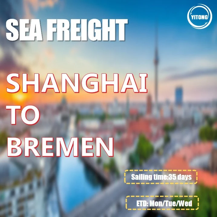 Ningbo Buying Agent Freight Forwarder to Bremen Germany