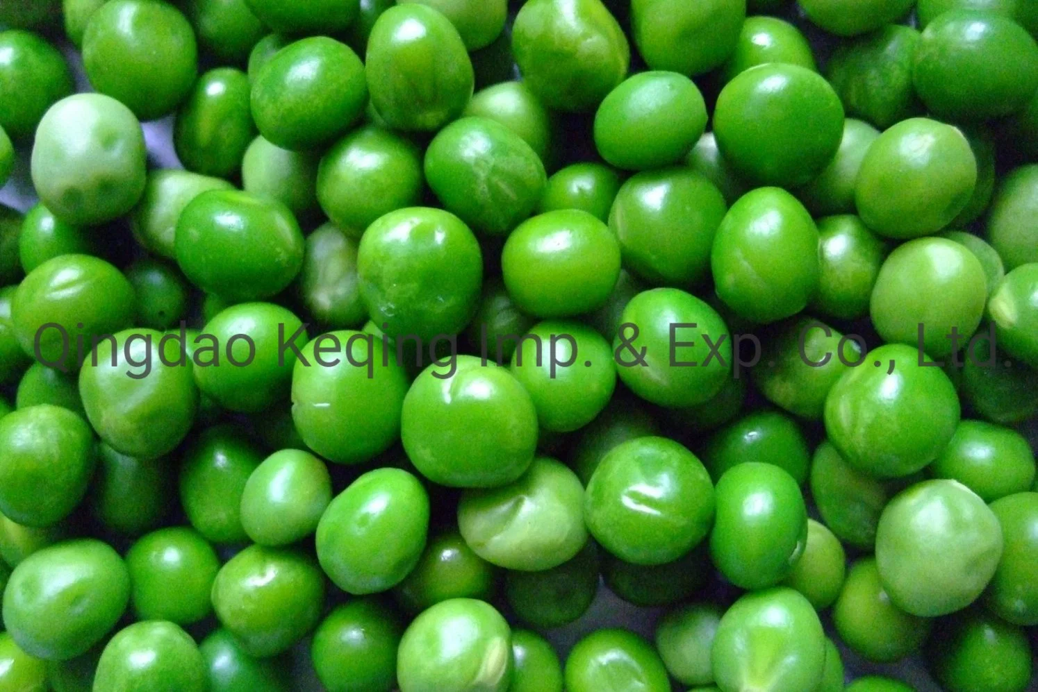 Good Quality New Crop Fresh Frozen Vegetables Frozen Peas