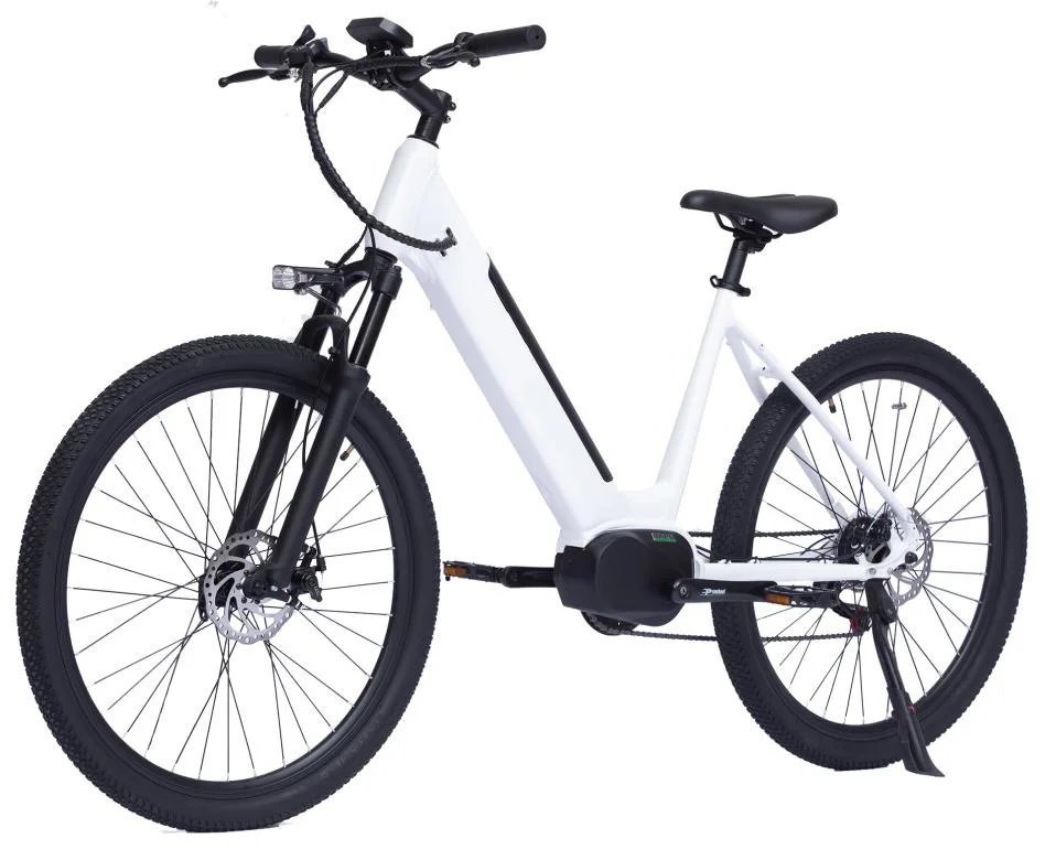 Light-Weight Compact and Practical 36V250W Ebike High Speed Electric 36V12ah SDI Lithium Battery City Ebike