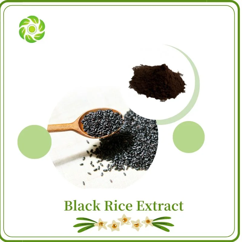 Bienestar mundial/Extracto de arroz Negro polvo/antocianidinas 1-25%/C3g 1-35%/para suplemento/para piel