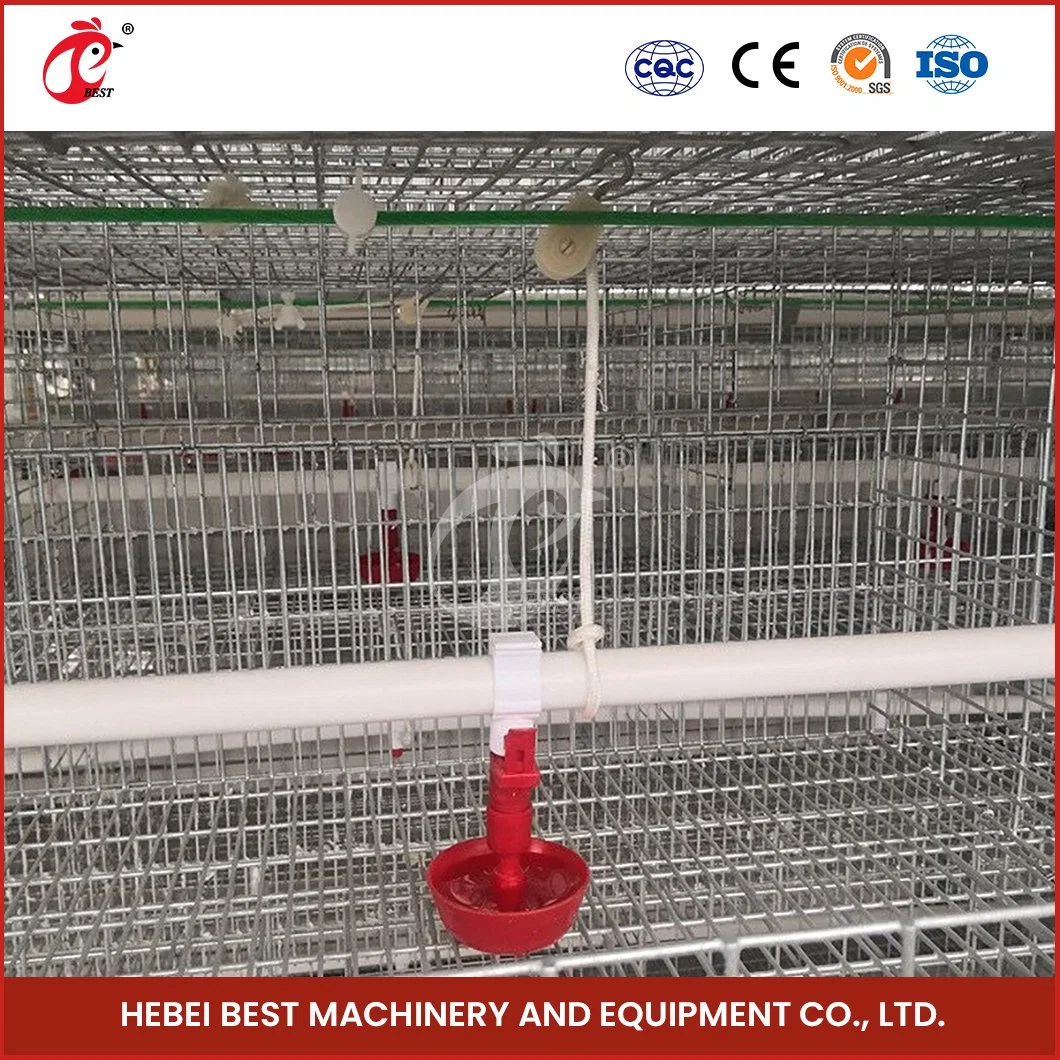 Bestchickencage H Typ Züchter Cage Layer Cage China Layer Coop Layer Cage Lieferanten Custom Long-Lasting Features Portable Hen Layer House