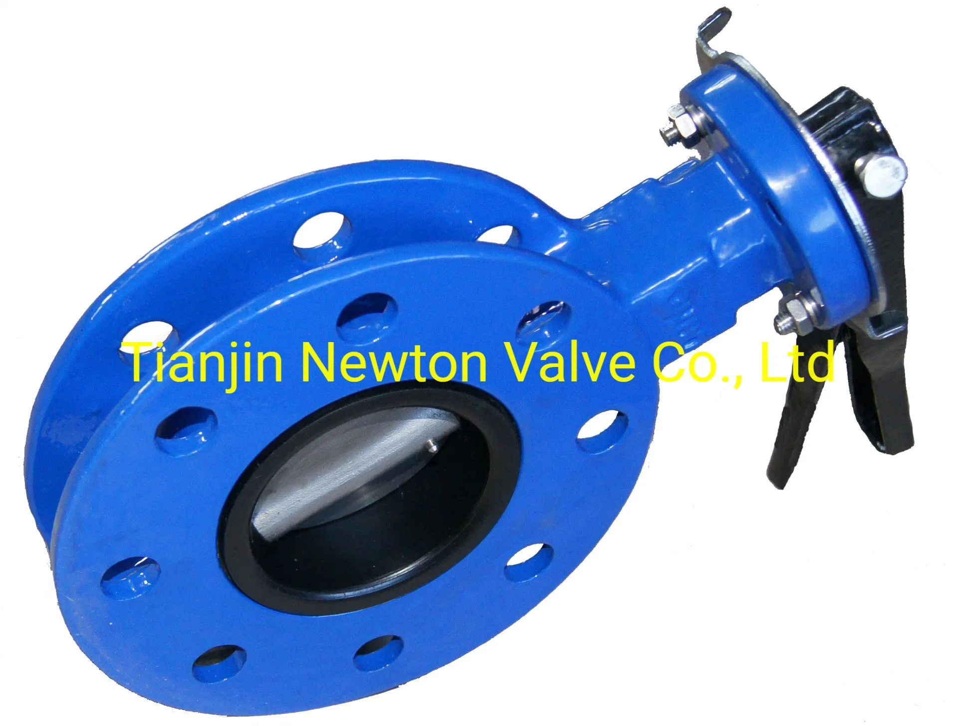 Low Pressure Rubber Seated Wafer Full Lugged Double Flanged Offset Eccentric Full/Semi Lug Butterfly Valve Pn6 Pn10 Pn16 Pn25 JIS5K JIS10K JIS16K 150lb