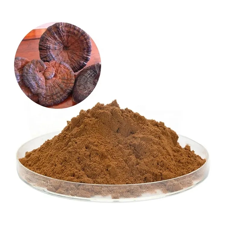 Aceite de esporas Reishi de alta pureza/cápsula de Lingzhi/Ganoderma Lucidum aceite de esporas Softgel