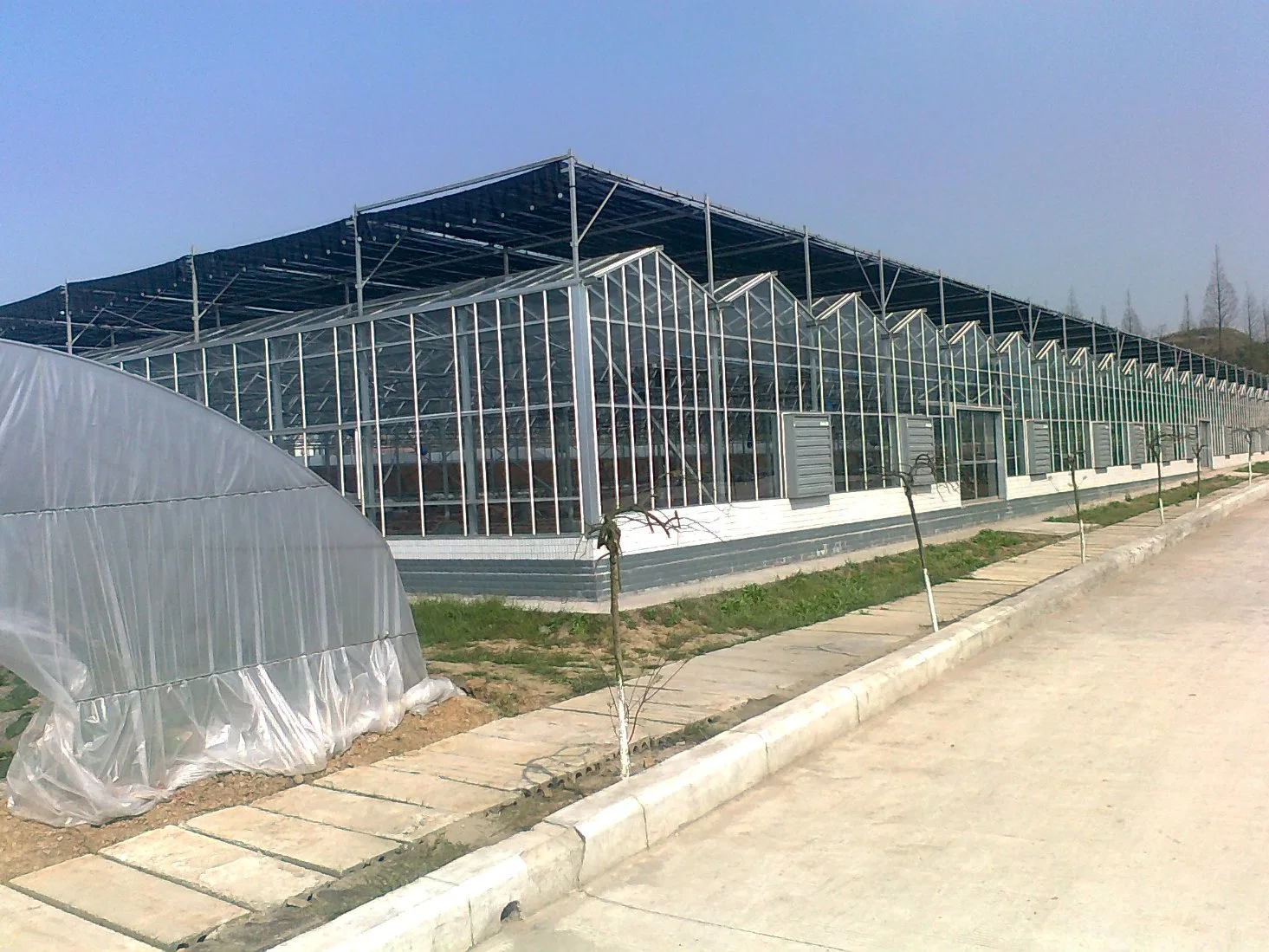 Syp Intelligent Frigid Zone Agriculture L Multi-Span Plastic/Polycarbonate Sheet PC/Glass/Greenhouse