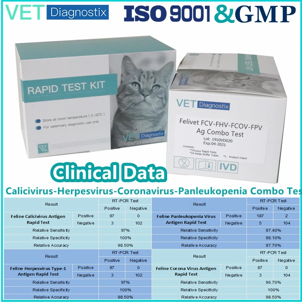 Veterinär-Schnelltest der Feline FCV-FHV-FCoV-FPV AG Combo Diagnostic Test GMP/ISO9001