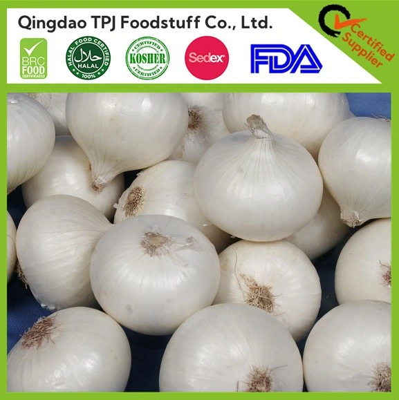 Factory Price IQF Fresh Frozen White Onion Dices Slices Rings