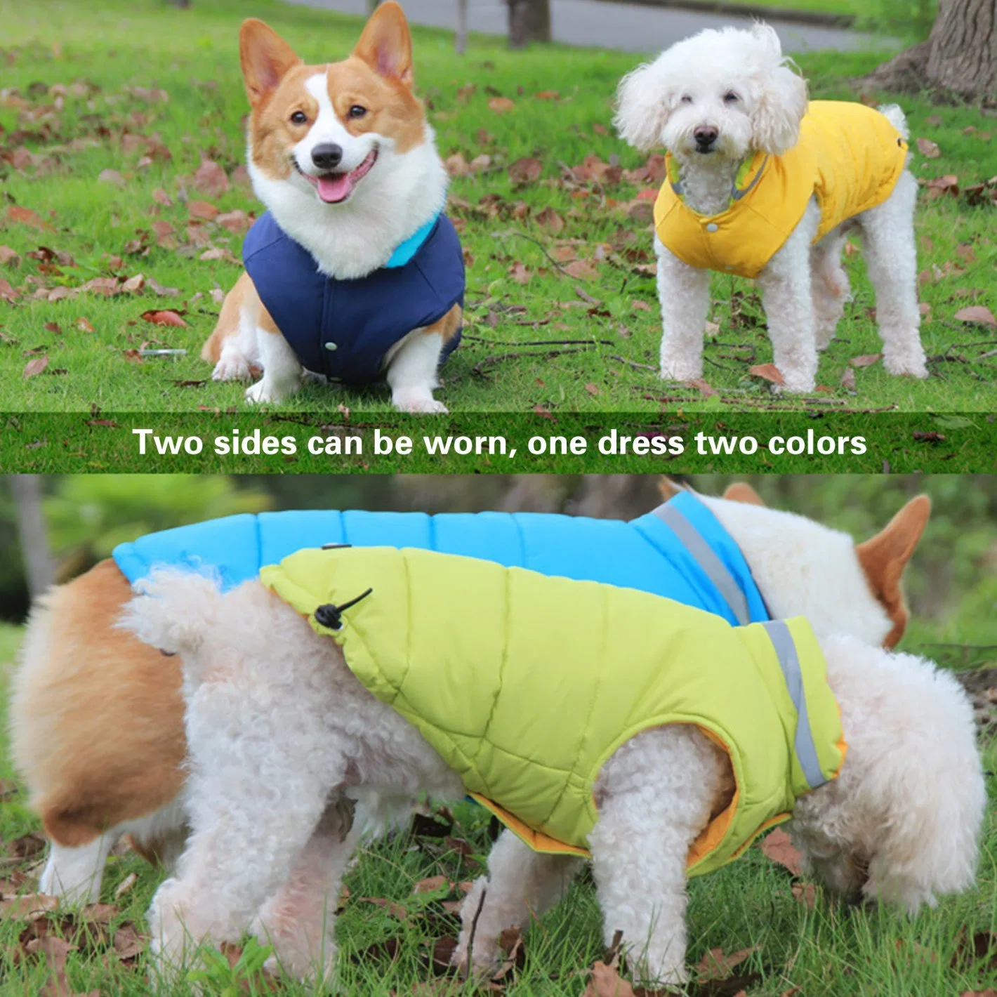 Winter Dog Coats Dog Apparel for Cold Weather