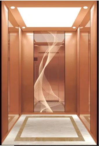 Room-Less Passenger Elevator Lift with High Speed and Low Price Similar