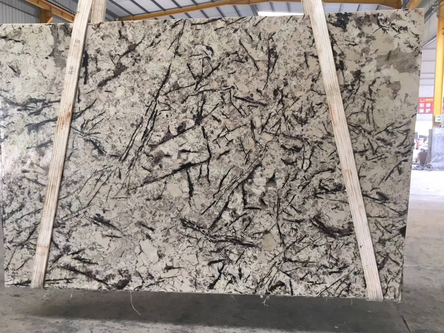 Natural Stone black/white/grey  polished/honed/flamed/Brushed/SawnSplendor White  Quartzite Slabs for interiors/ exterior/outdoor floor/wall