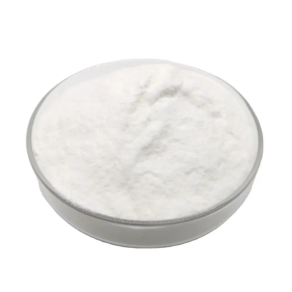 Hot Sale High quality/High cost performance Nutritional Fortifier CAS 56-86-0/C5h9no4