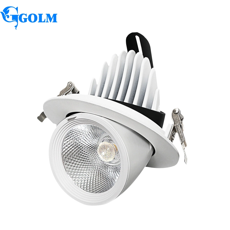 Adjustable Trunk Shape No Flicker Aluminum Embeded Moveable COB LED Downlight