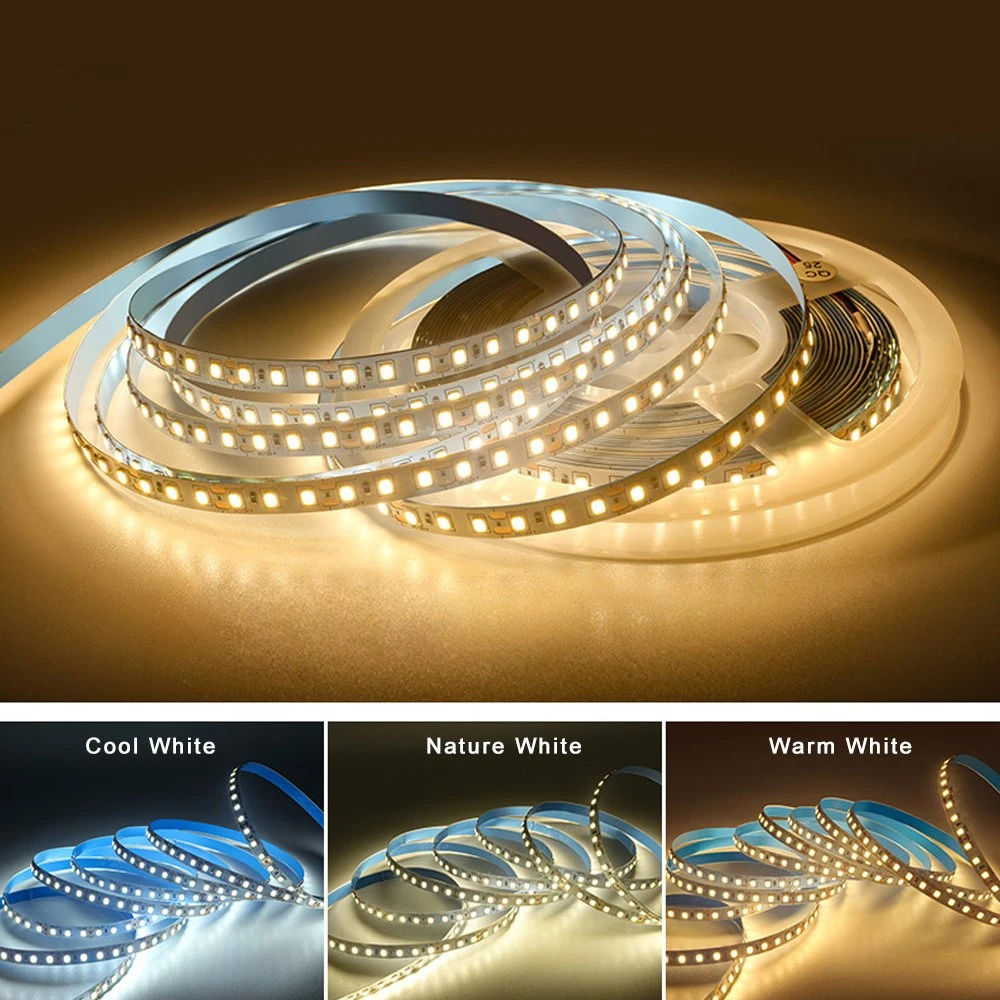 CE RoHS Indoor Office Home Light Flexible LED Strip Light