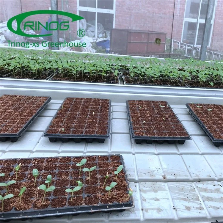 Multi-span Large Agricultural Cultivation Hydroponics System Film Greenhouse with Good Quality