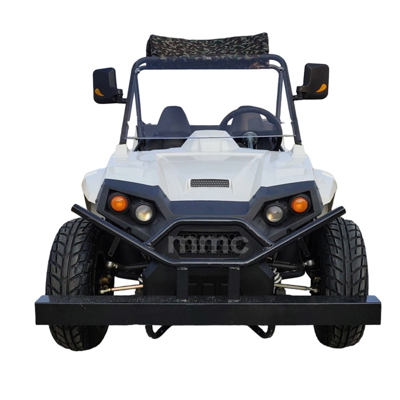 MMC Lithium Battery All-Terrain Electric UTV Go-Kart Tourist Car with Cargo Box