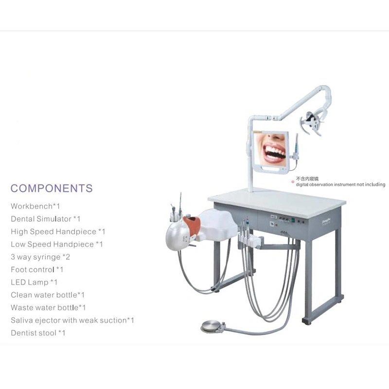 Dental 1 Student Training Single Teaching Manual Control Phantom Simulator