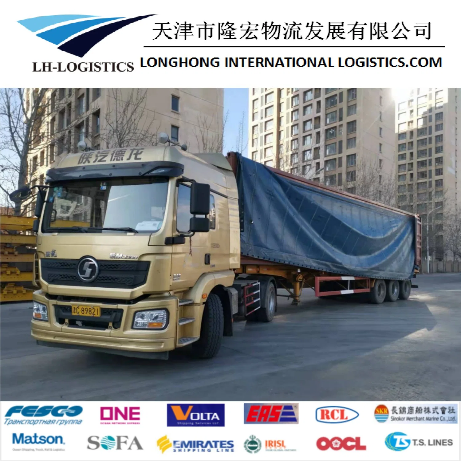 Shipping Service/ Logistics /Sea Shipping Logistics From Ningbo, China to Sohar, Middle East 1688