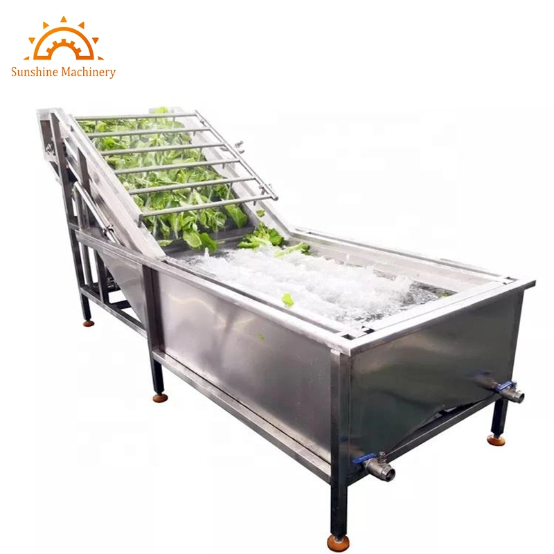 Stainless Steel Vegetable and Fruit Washing Machine Washer