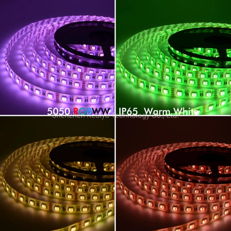 CE SMD5050 RGBW/Rgbww Flexible IP65waterproof Rope Lamp Heat Resistant LED Strip Lights