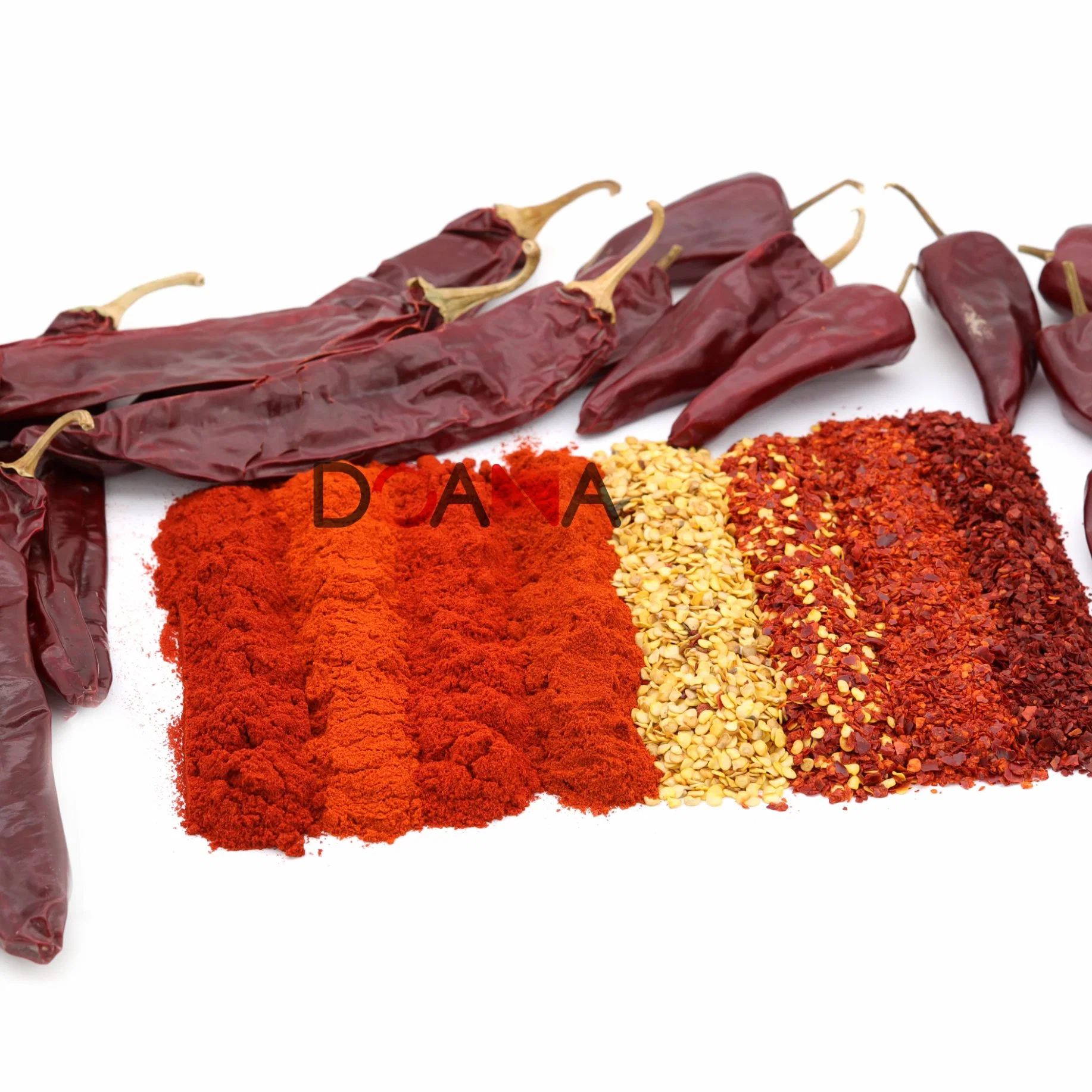 ISO HACCP Standard Chilli Spices Dried Red Chilli Pepper Powder