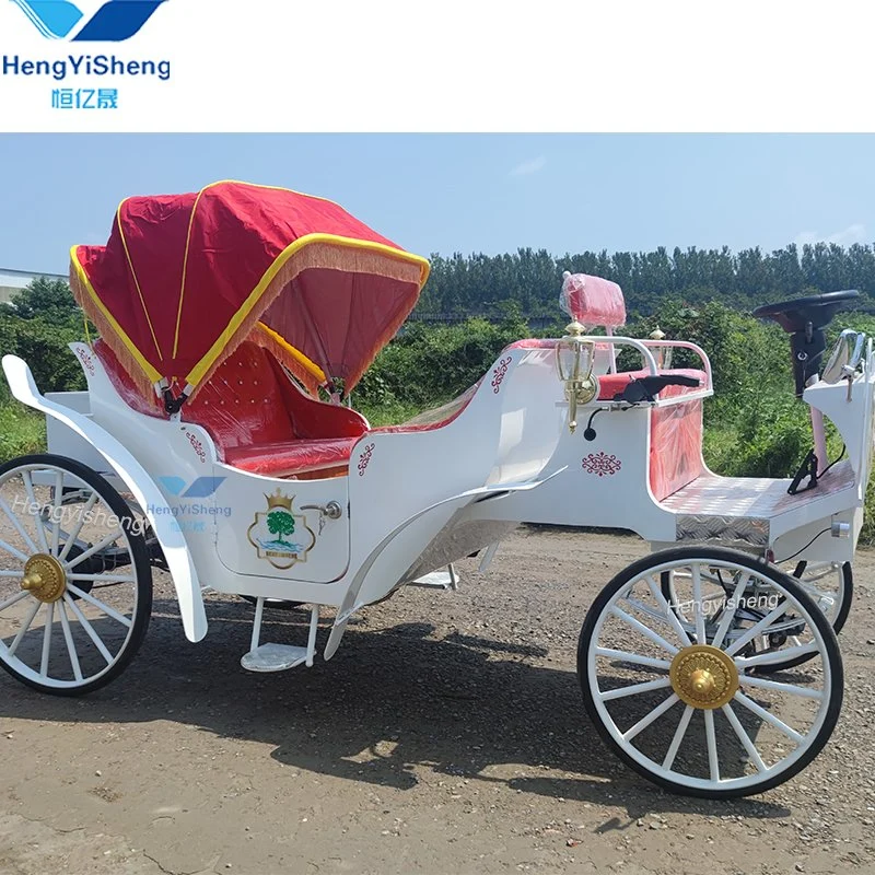 Chinese Special Transportation Customized Sightseeing Horse Carriage