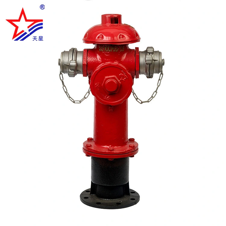 Ss 100/65-1.6 Outdoor Fire Hydrant