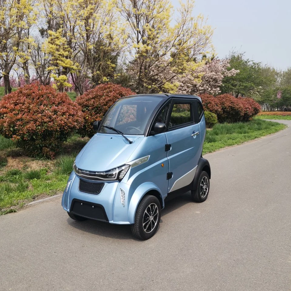 Low Speed EEC Certification 4 Wheeler Electric Mini Car for Sale