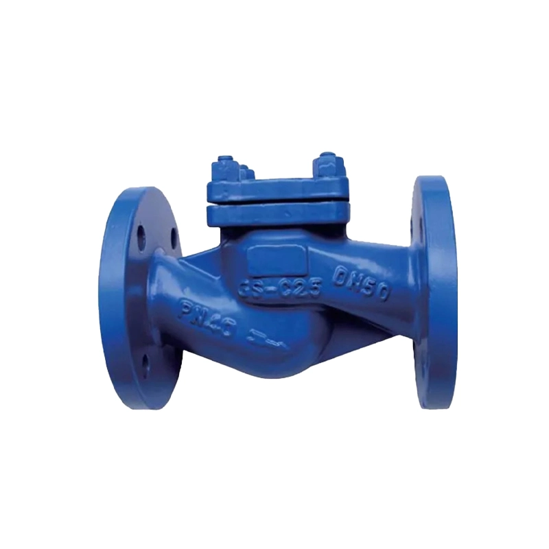 DN 150 Ductile Iron Non Return Ball Flange Check Valve ANSI 150