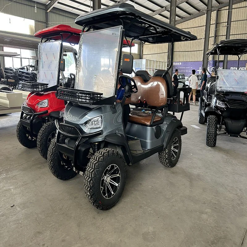 La Chine Mini Visites Grande Roue Chariot de golf haute vitesse et basse Prix Petit Club Voiture électrique