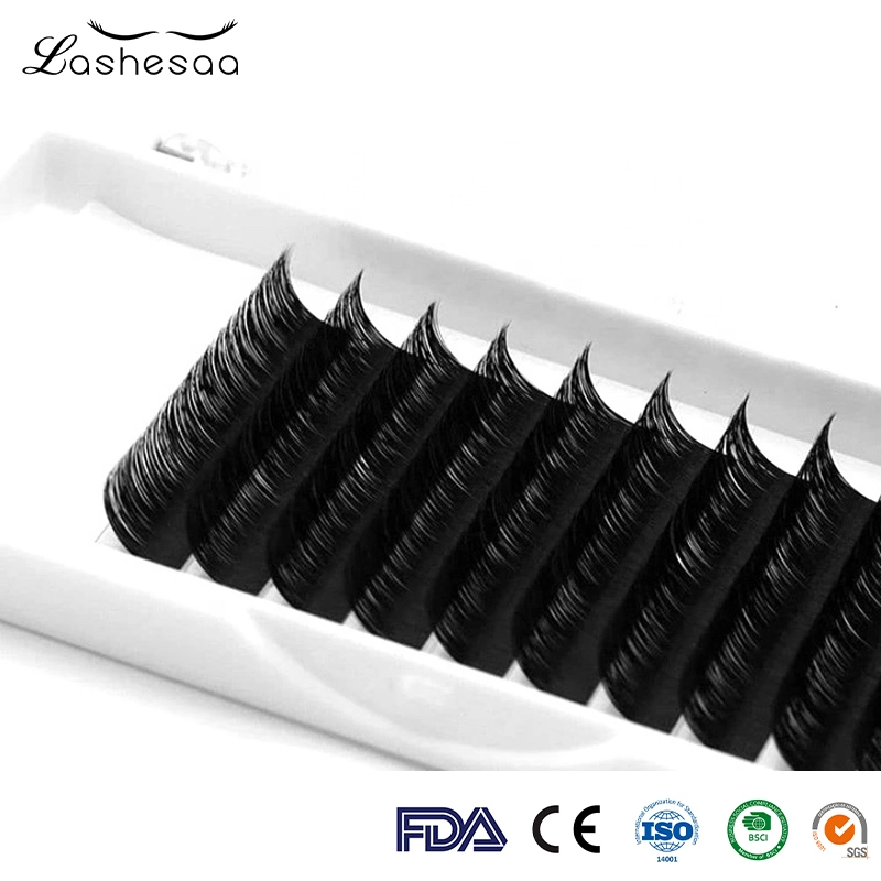 Mengfan China Eyelashes Supplier Russian Volume Eyelash 0.07 0.10 Camellia Eyelash Extensions