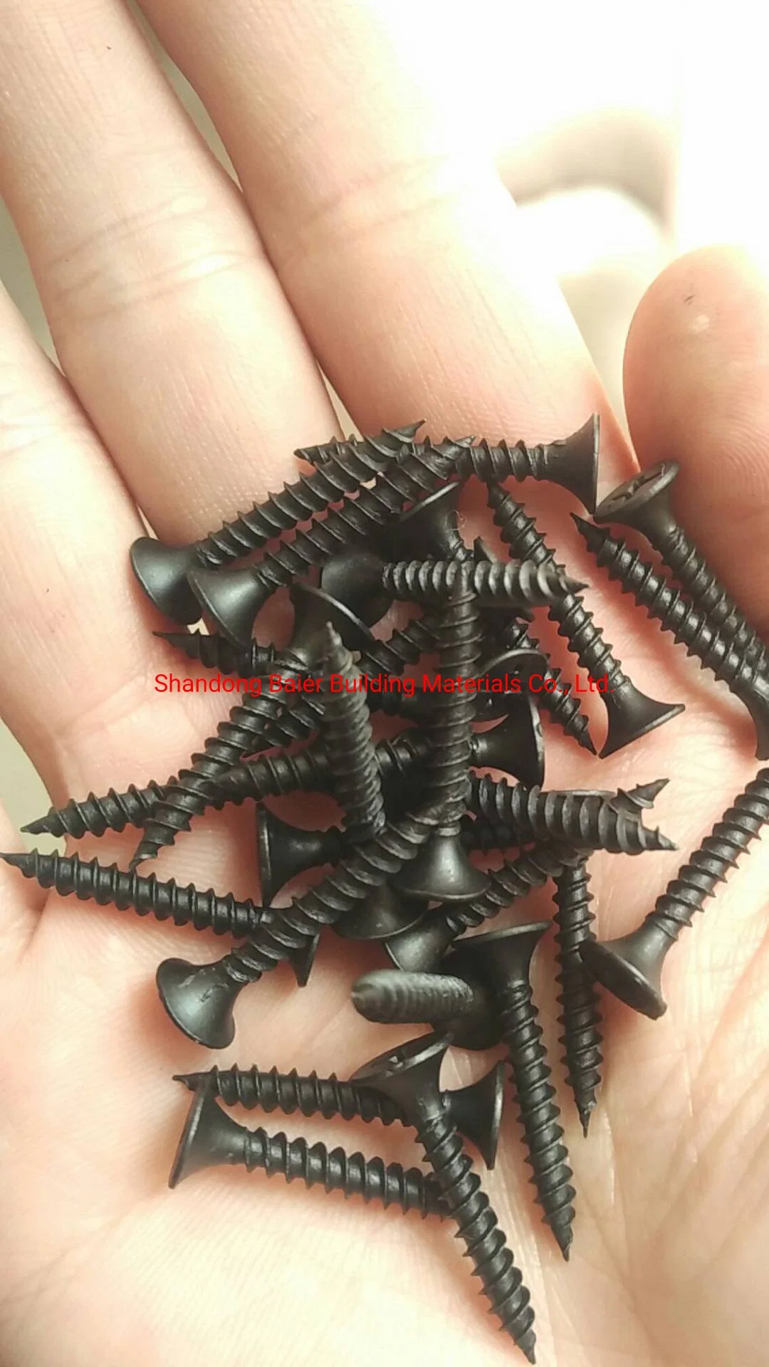 Baier Factory Drywall Screws Drywall to Wood 3.5*25mm