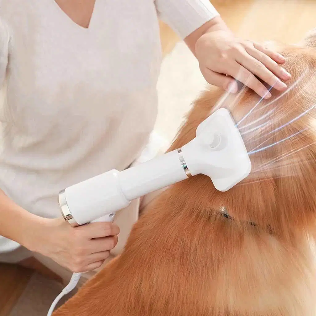 Pet Grooming Cleaning Electric Hair Dryer Slicker Brush Dog Cat Combing Pet Massage Electric Hot Air Comb Tool