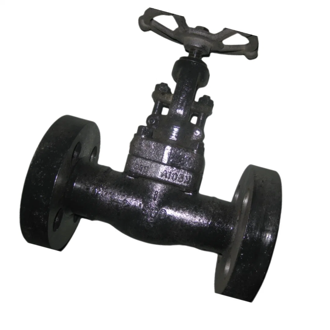 Forged Bolt Bonnet Flanged A105n API 602 Forging Gate Valve