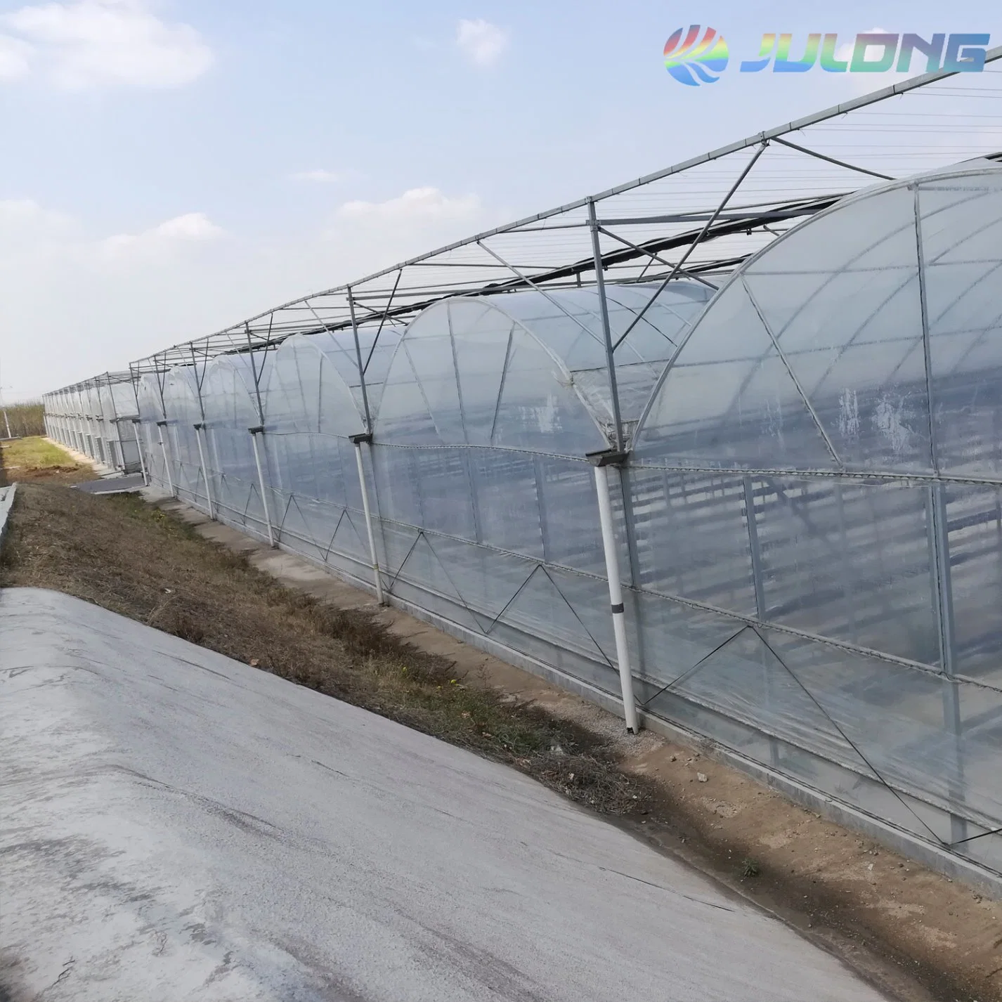 Customized Design Multi Span Plastic Film Greenhouse with Hydroponics System for Tomato/Lettuce Planting