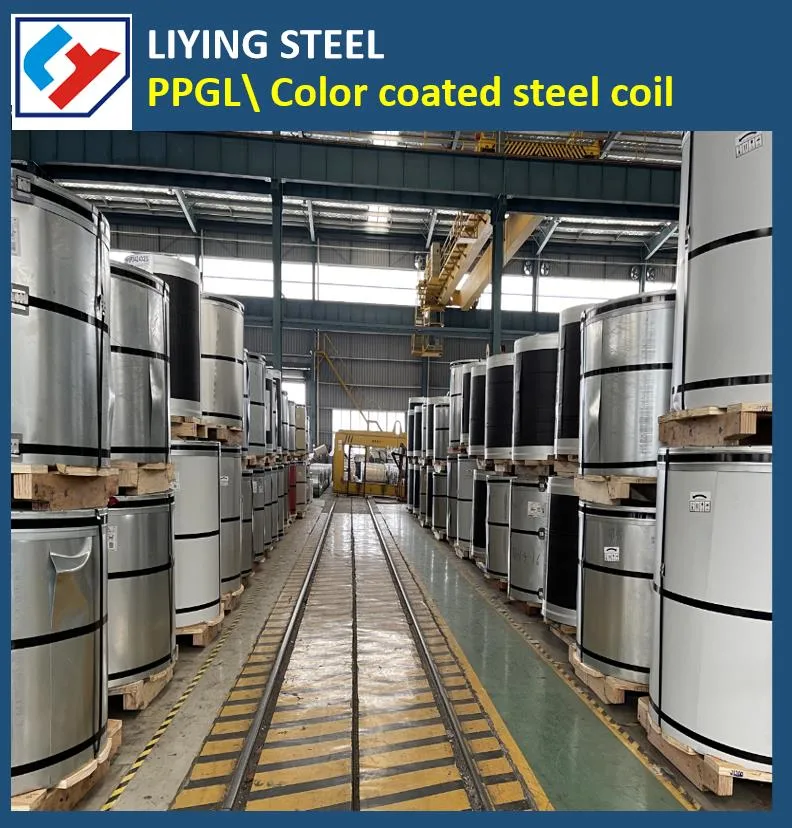 Container Steel PPGL PPGI Coil Dx51d Color Coated Galvanized Steel Coil Customized Prepainted Galvanized Steel