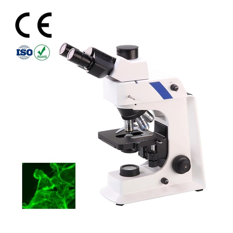 Olympus Triocular Contrast Fluorescence Video Biological Microscope Pictures & Photos