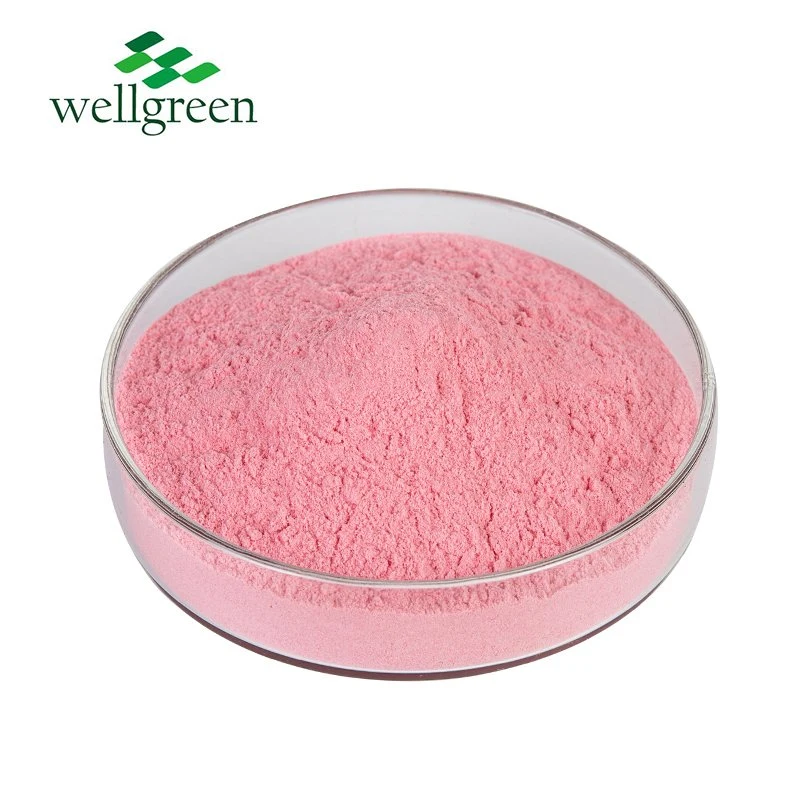 Wellgreen Food Grade Top Quality Freeze Dried Organic Strawberry Fruit Powder