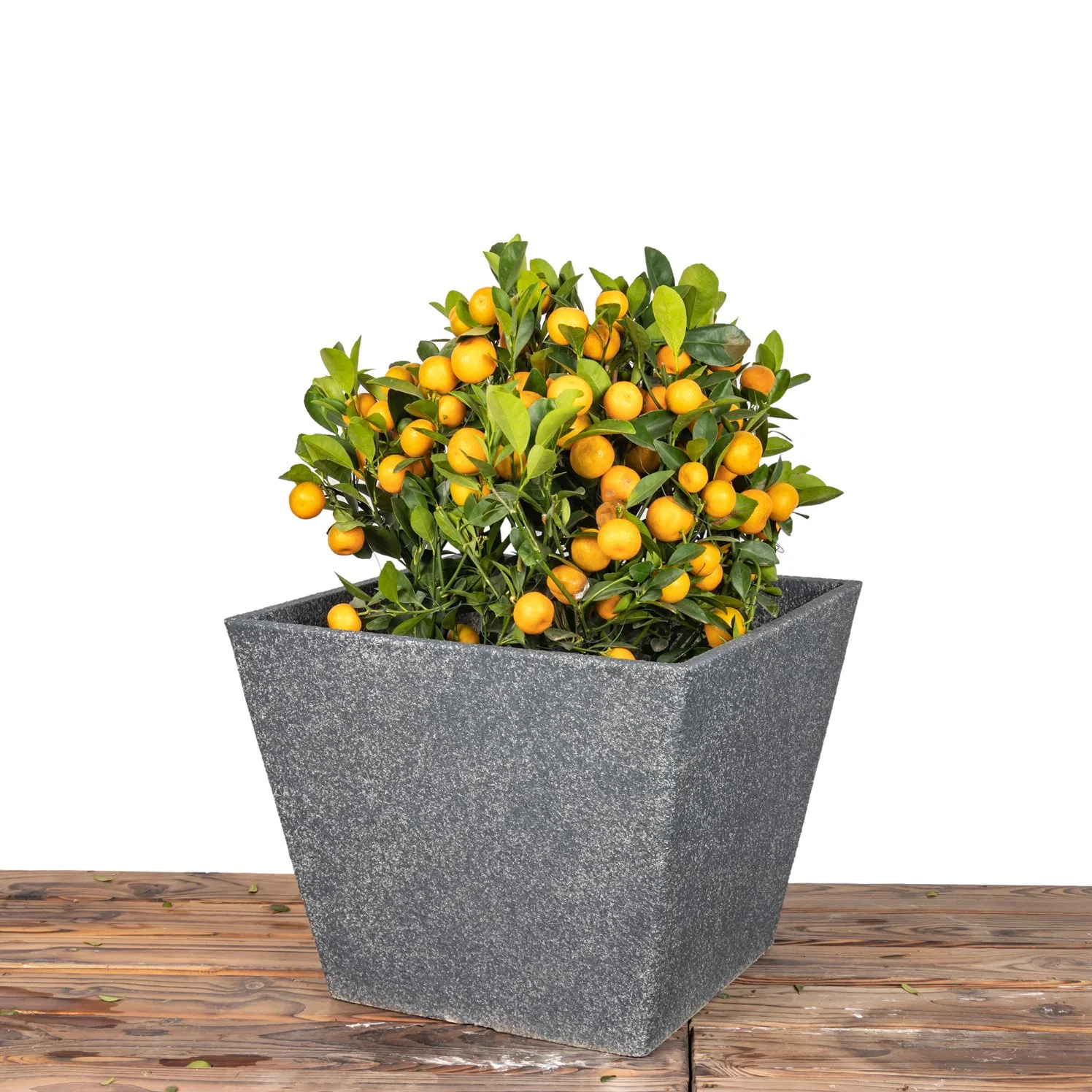 Factory Wholesale/Supplier Eco-Friendly Decorative Plant/Flower Pot Thick Square Plastic