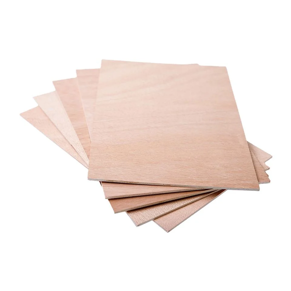 Competitive Price 3mm 6mm 9mm 12mm 15mm 18mm 25mm Okoume/Bintangor/Pine/Birch/Poplar Plywood Furniture Plywood