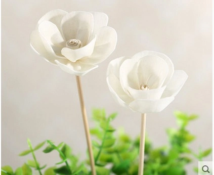 Auditorias de fábrica de vender a sola flor para difusor de cana